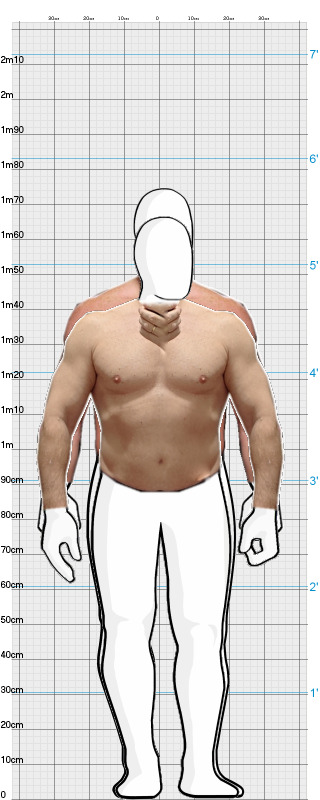 Full Size Comparison