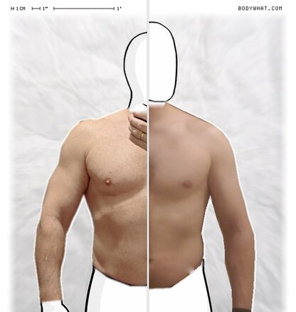 Torso Comparison