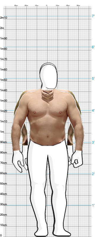 Full Size Comparison