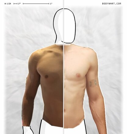 Torso Comparison