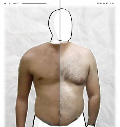 Torso Comparison