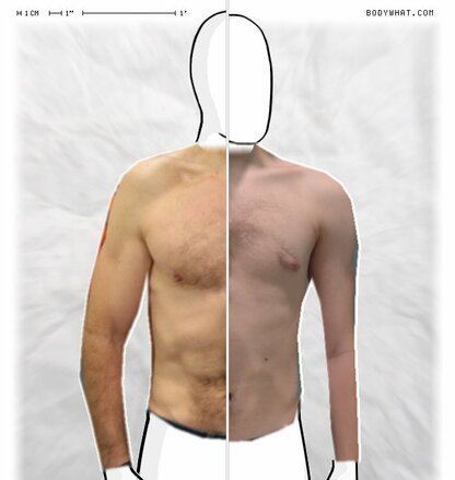 Torso Comparison