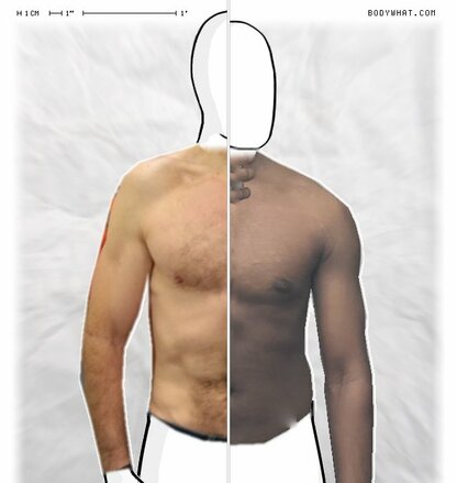 Torso Comparison