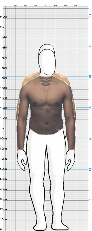 Full Size Comparison