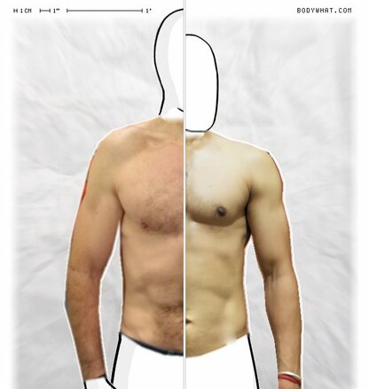 Torso Comparison