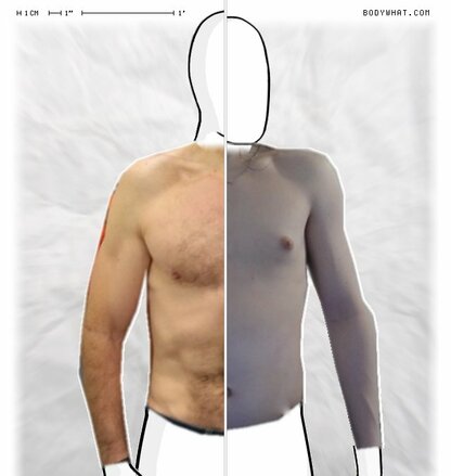 Torso Comparison