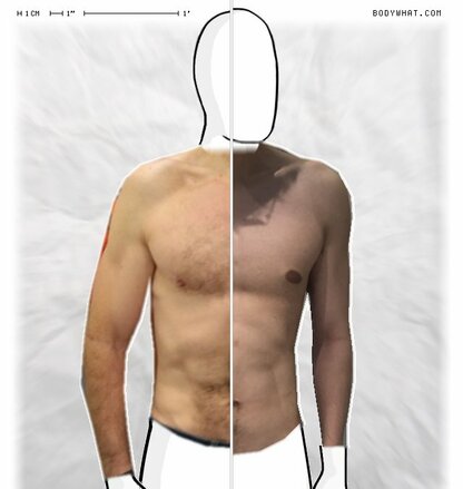 Torso Comparison