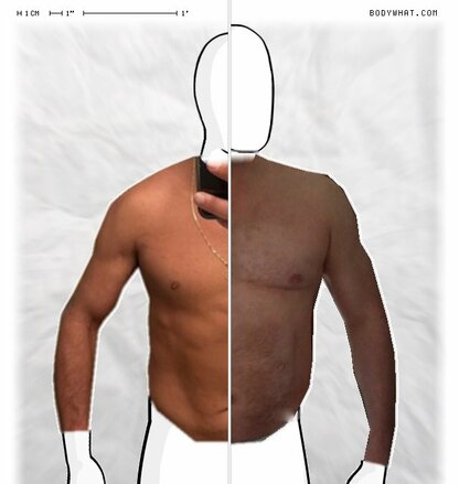 Torso Comparison