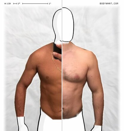 Torso Comparison