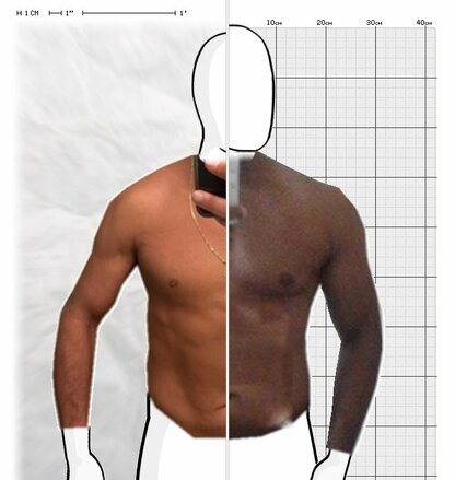 Torso Comparison