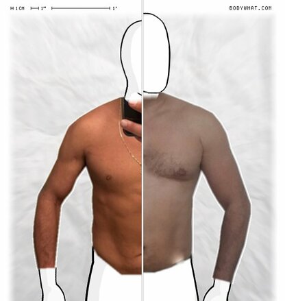 Torso Comparison