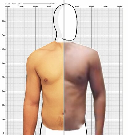 Torso Comparison