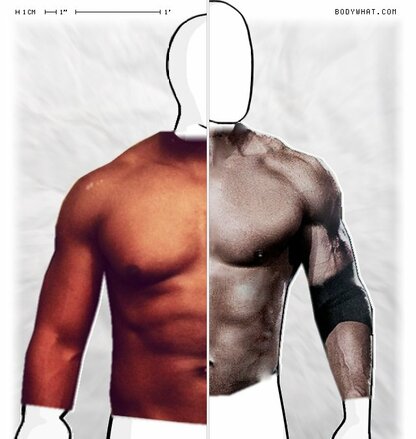Torso Comparison
