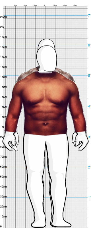 Full Size Comparison