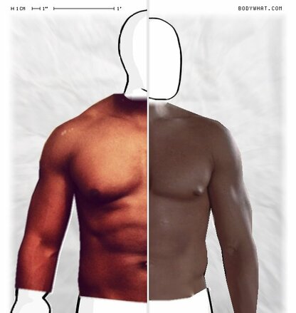 Torso Comparison