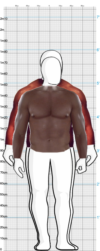 Full Size Comparison