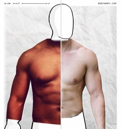 Torso Comparison