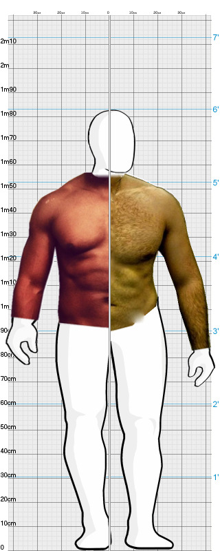 Full Size Comparison