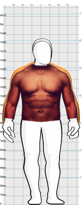 Full Size Comparison