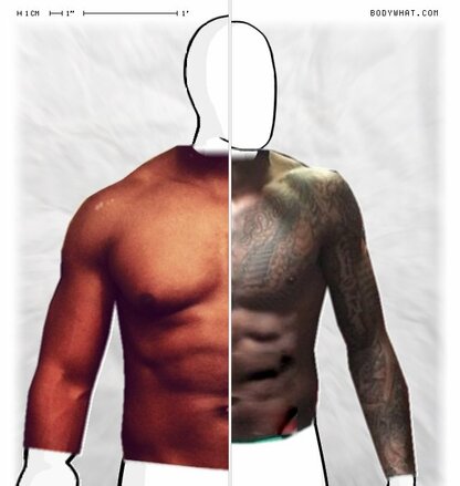 Torso Comparison