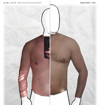 Torso Comparison