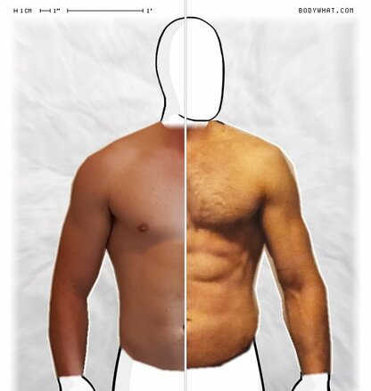 Torso Comparison