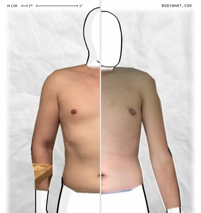 Torso Comparison