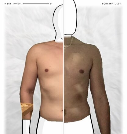 Torso Comparison