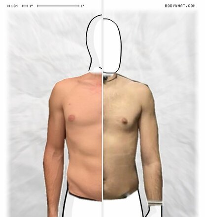 Torso Comparison