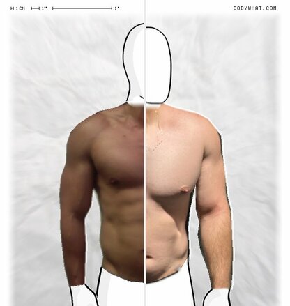 Torso Comparison