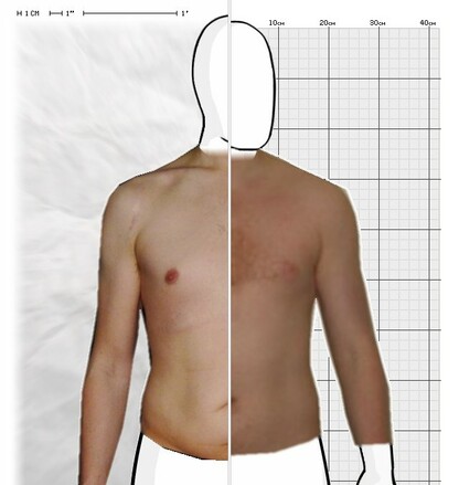 Torso Comparison