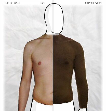 Torso Comparison