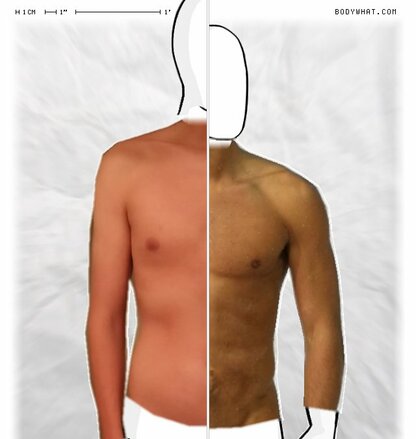 Torso Comparison