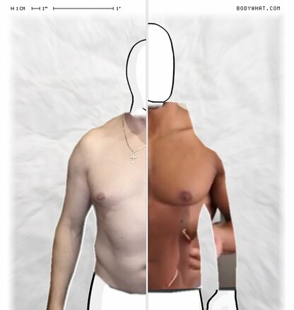 Torso Comparison
