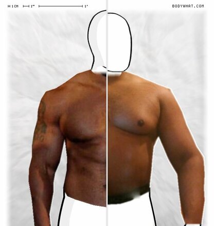 Torso Comparison