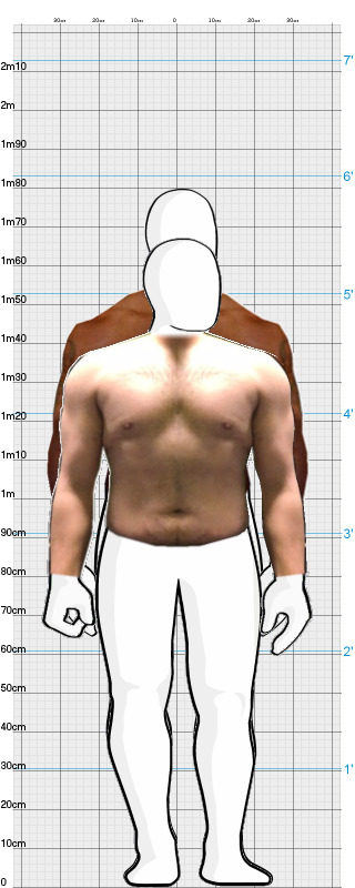 Full Size Comparison