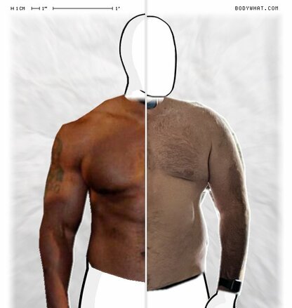 Torso Comparison