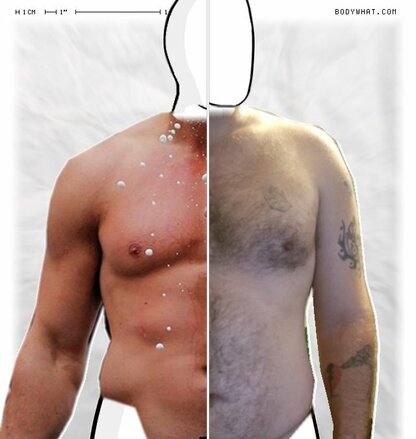 Torso Comparison