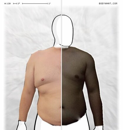 Torso Comparison