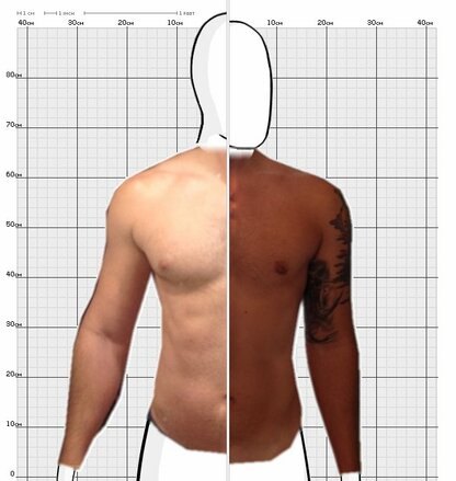 Torso Comparison