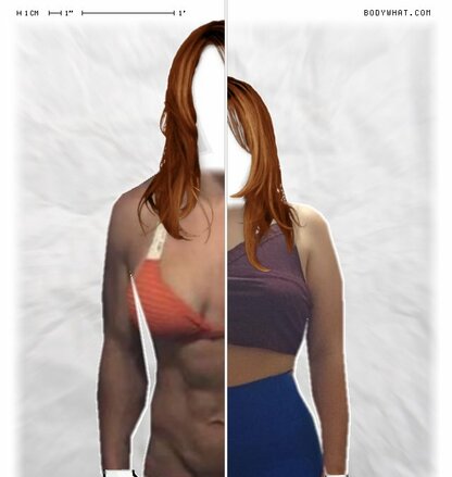 Torso Comparison