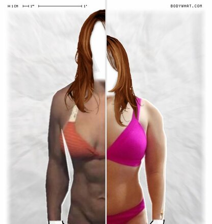 Torso Comparison