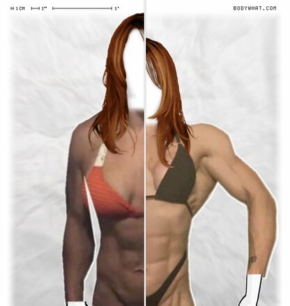 Torso Comparison