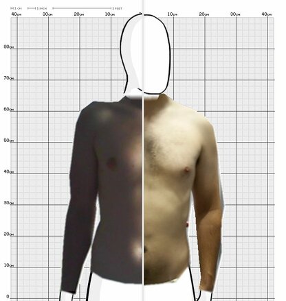 Torso Comparison