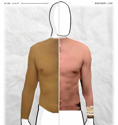 Torso Comparison