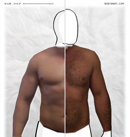 Torso Comparison