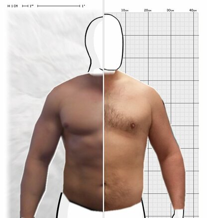 Torso Comparison