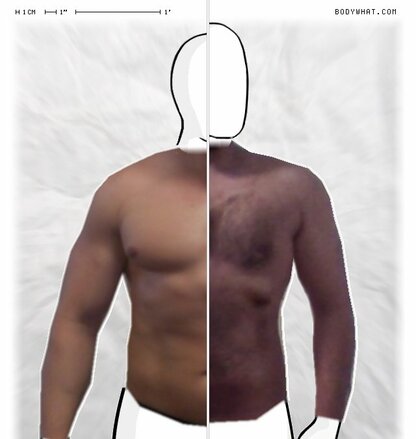 Torso Comparison