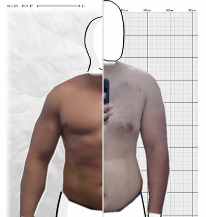 Torso Comparison