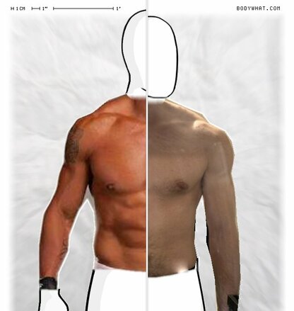 Torso Comparison